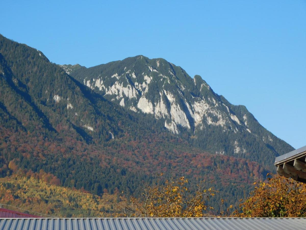 Mountain Vista Suites Zărneşti Exterior foto