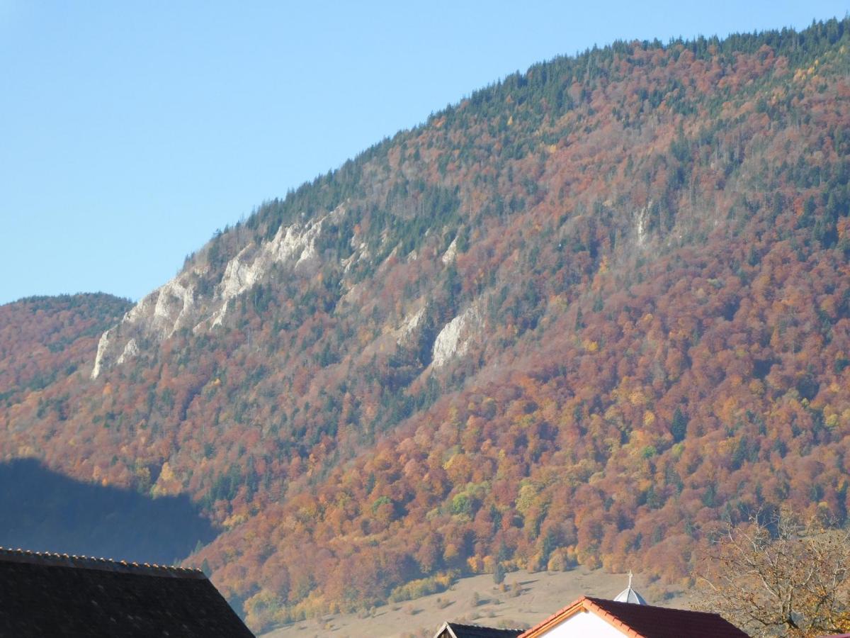 Mountain Vista Suites Zărneşti Exterior foto