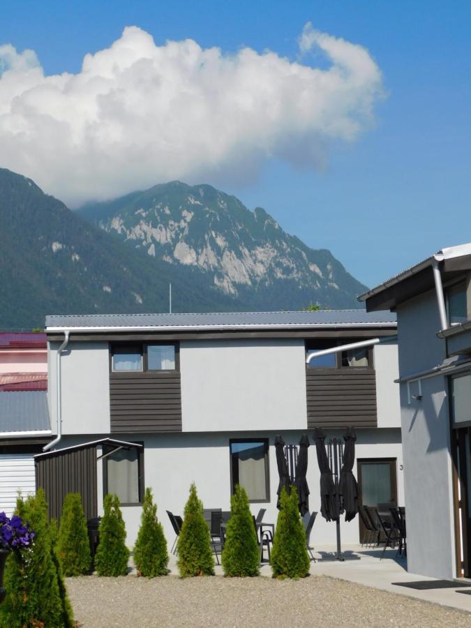 Mountain Vista Suites Zărneşti Exterior foto
